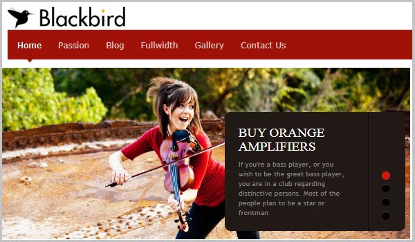 theme wordpress cho website doanh nghiệp blackbird