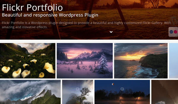 Flickr Portfolio là công cụ tối ưu để hiển thị ảnh Flickr của bạn trên Portfolio