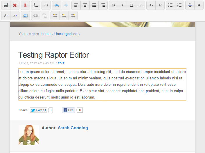 raptor editor wordpress post edit frontend