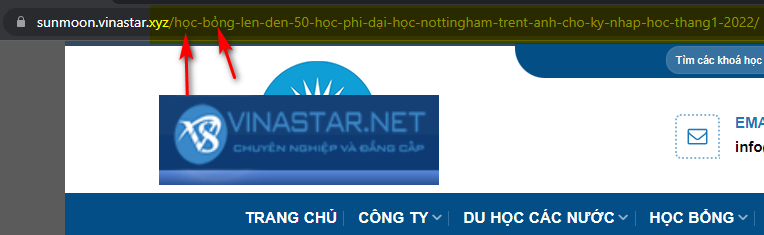 Cách bỏ tiếng Việt có dấu trong URL wordpress