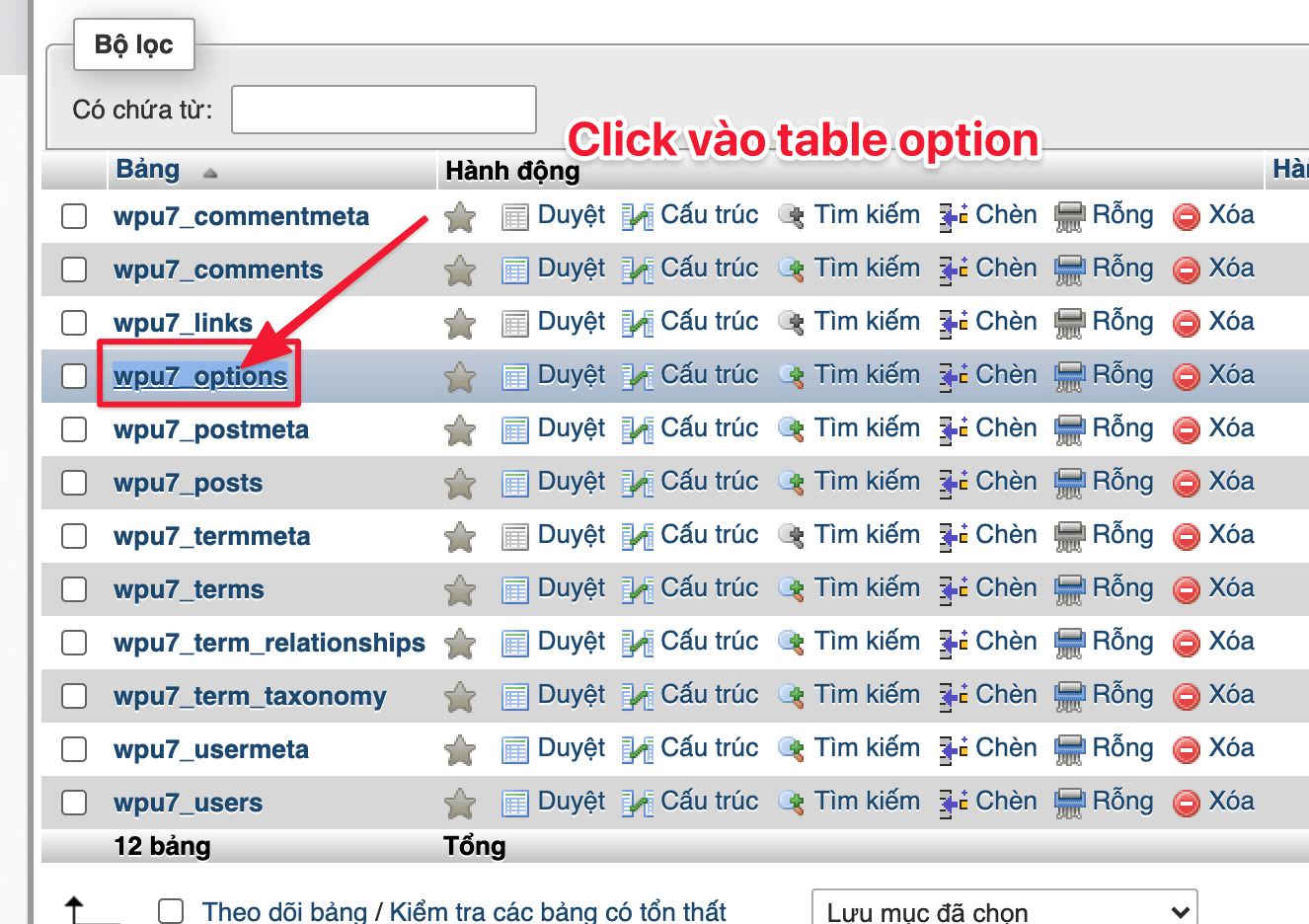 Table wp_option WordPres tăng dung lượng